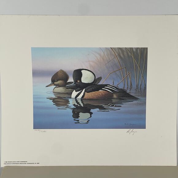 Pennsylvania Waterfowl Management Stamp Print Hooded Merganser 1999 #2235 - Picture 5 of 5
